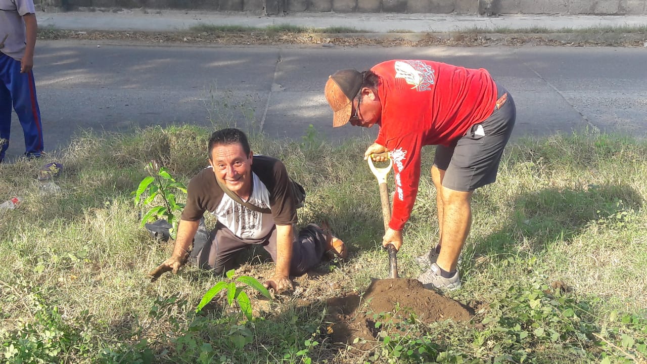 Diputado Víctor Blas continúa reforestando con árboles frutales