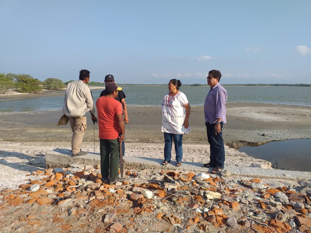Con apoyo de Gloria Sánchez rehabilitan camino de pescadores a Laguna Salina Santa Cruz