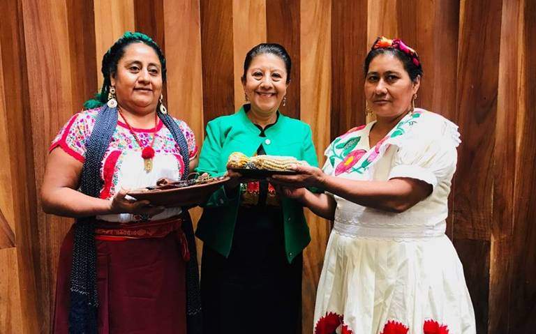 Raíces culinarias: ¿Qué es una cocinera tradicional?