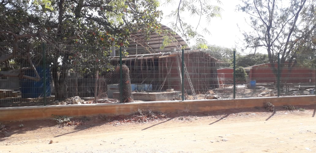 Directora escolar  Cita a padres de familia a dar tequio en plena pandemia