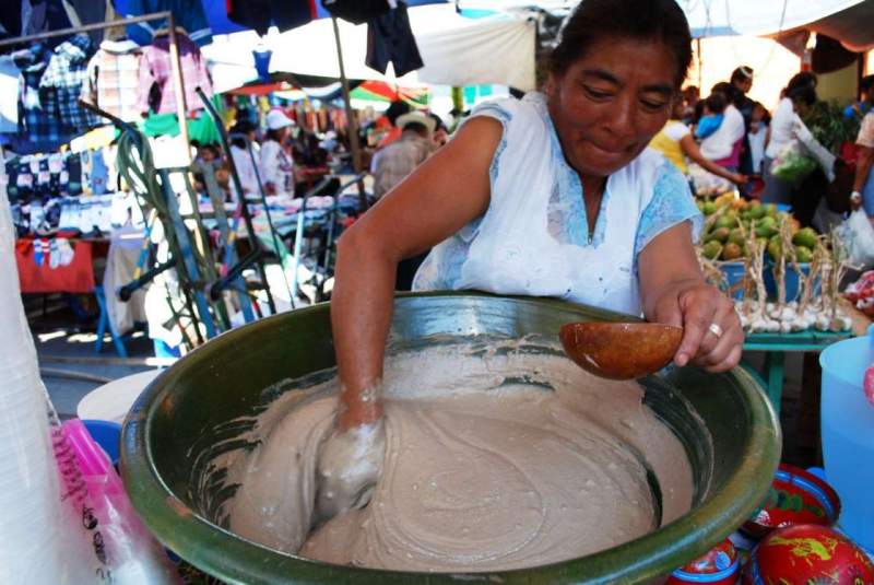 El hueso del mamey se llama pixtle y también se come, Oaxaca el que más lo utiliza