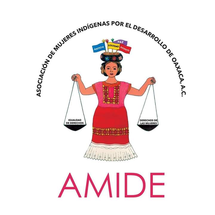 Exige AMIDE a las autoridades vigilar que derechos de mujeres y niñas  no sean vulnerados en esta etapa que exige a todos permanecer en casa