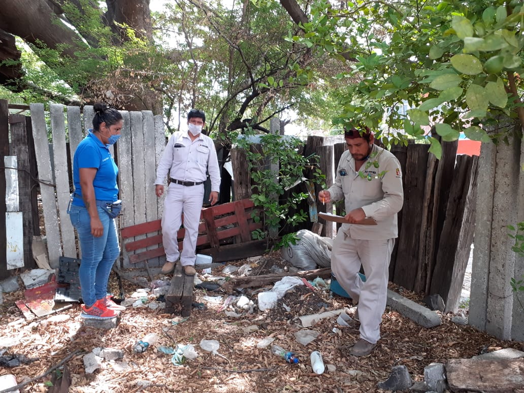 Ixtepec instala ovitrampas para vectores