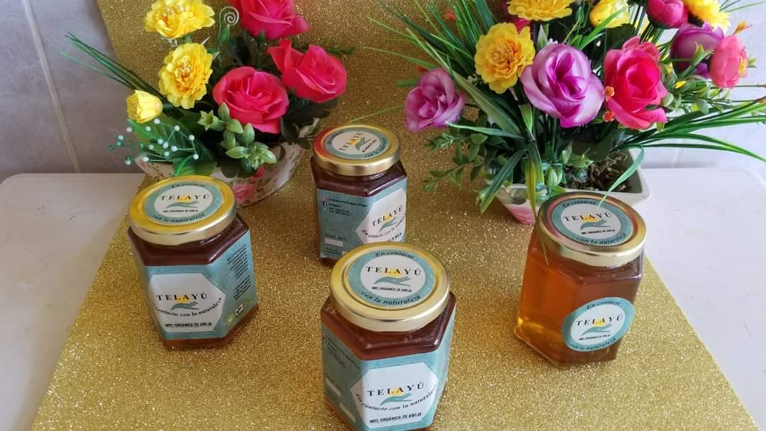 Sebien desarrolla sitio web para artesanos y productores