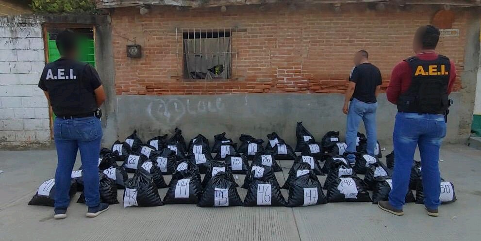 Asegura Fiscalía General 25 mil huevos de tortuga contenidos en una camioneta, en operativo realizado en el Istmo de Tehuantepec