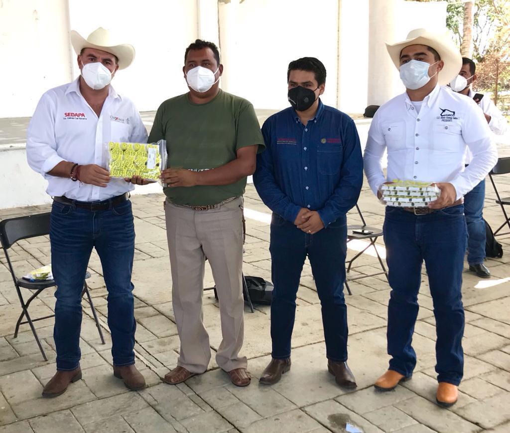 Impulsa Sedapa procesos para elevar estatus zoosanitario en la Costa