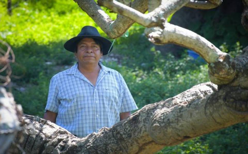 En prisión y vinculado a proceso otro probable implicado en el homicidio de activista social, cometido en San Baltazar Loxicha: FGEO