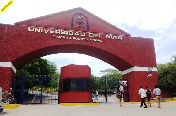 SUNEO eleva a 202 el número de profesores en el Sistema Nacional de Investigadores del CONACyT