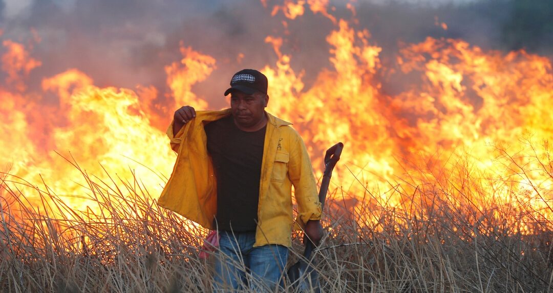 Oleada de incendios forestales amenaza al país por la sequía
