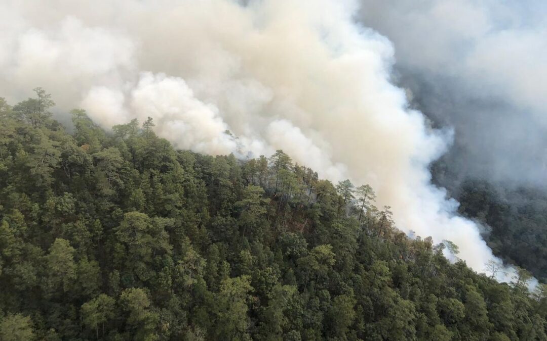 Intensifican trabajos para sofocar incendio entre Atatlahuca y Maninaltepec