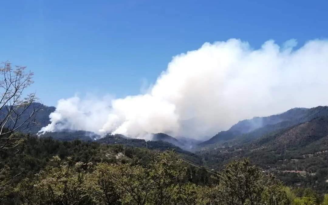 Llama Sego a Llano de Guadalupe y San Miguel El Grande a frenar la violencia y retomar el diálogo