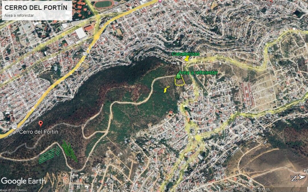 Impulsa Gobierno de Oaxaca conservación en Áreas Naturales Protegidas