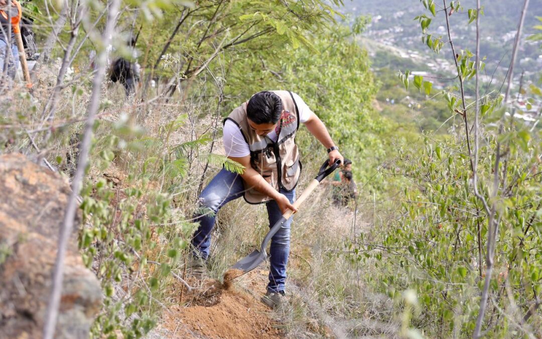 Siembra de árboles contribuye a recargar mantos acuíferos: Soapa